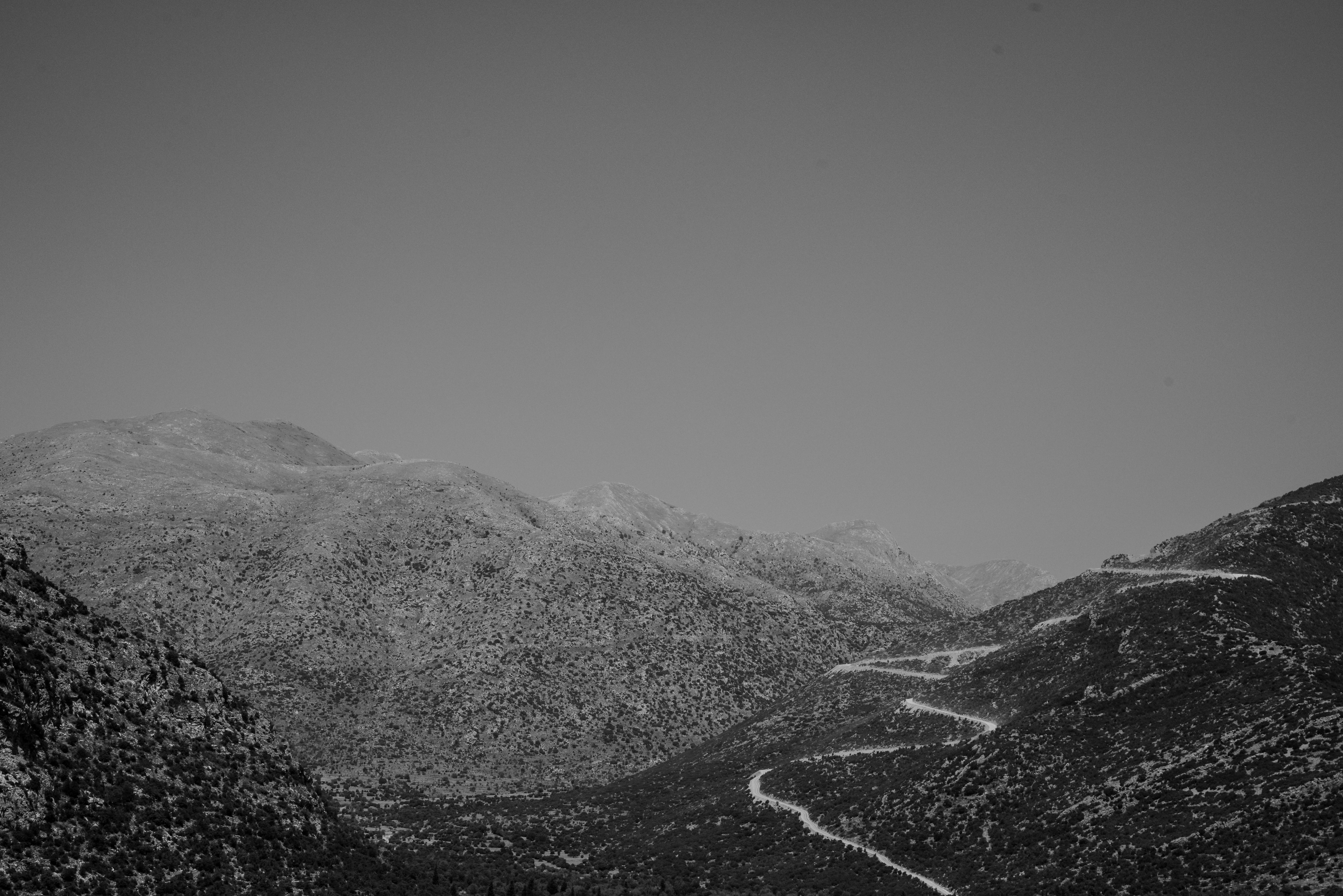 DSC_3650